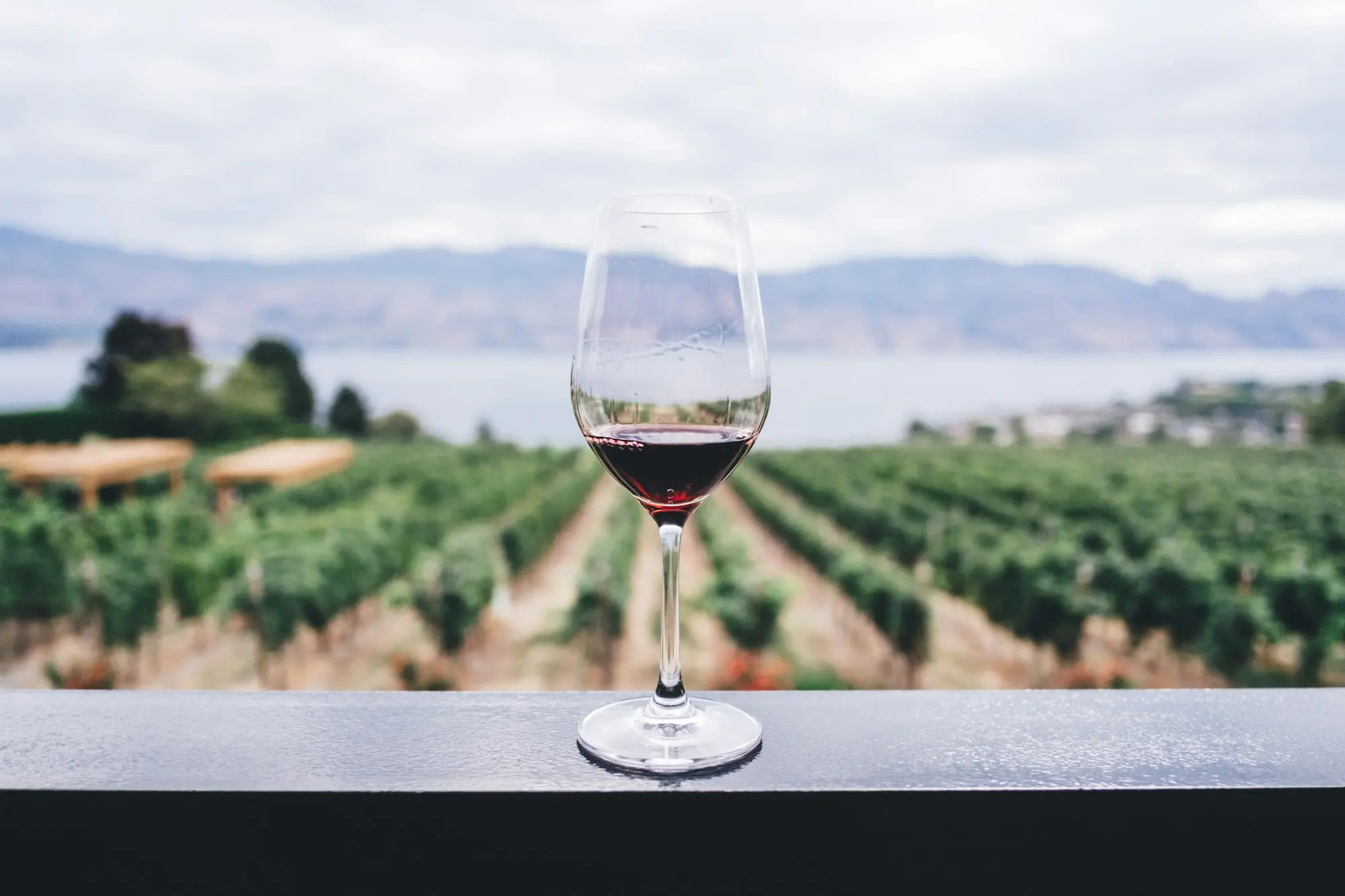 Pahar de vin roșu cu vedere spre vie și dealuri